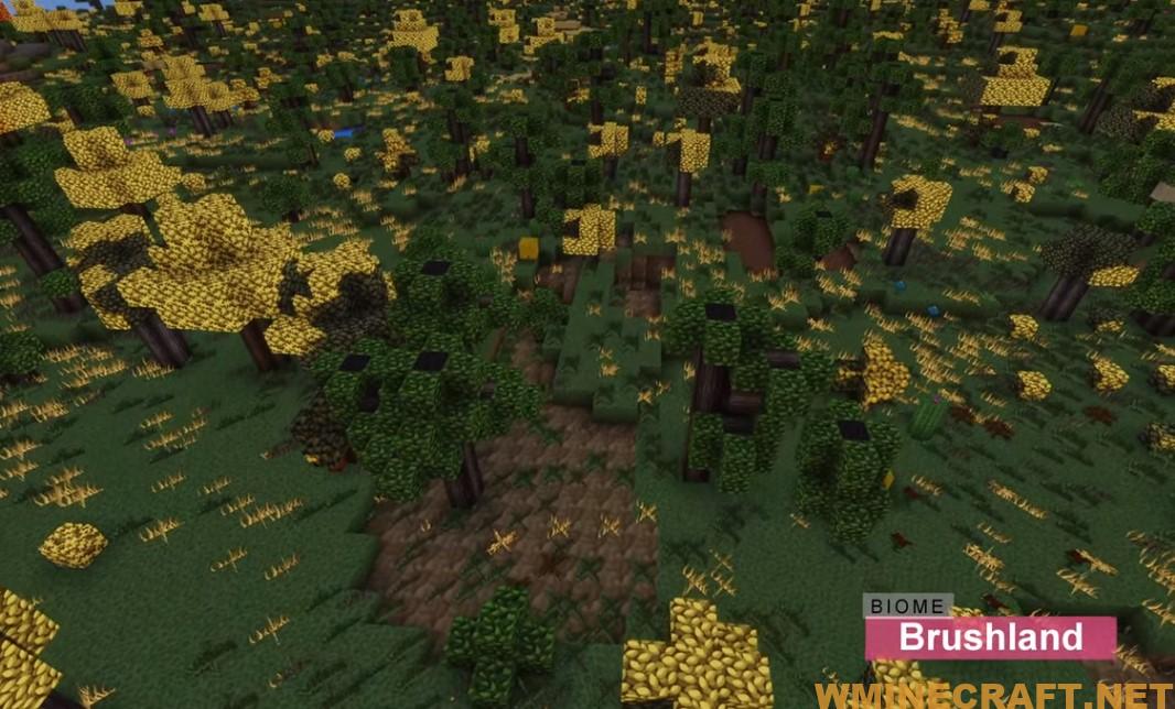 Lots bioms mod of gole Expansive Biomes