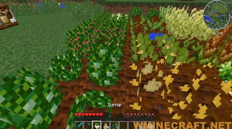 Pam's HarvestCraft Mod for Minecraft [1.15.2/1.14.4] - Develop farms