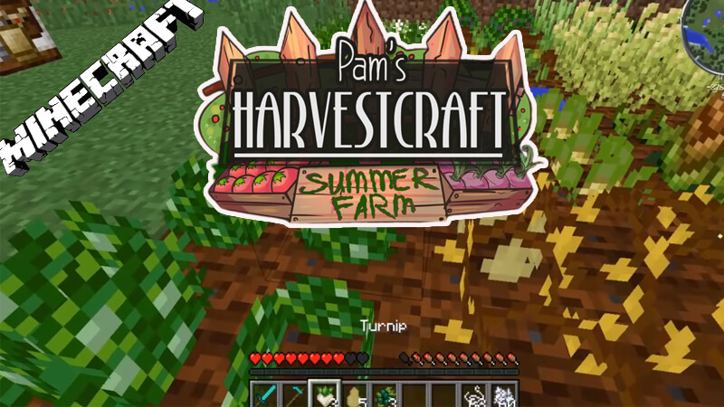 HarvestCraft Mod