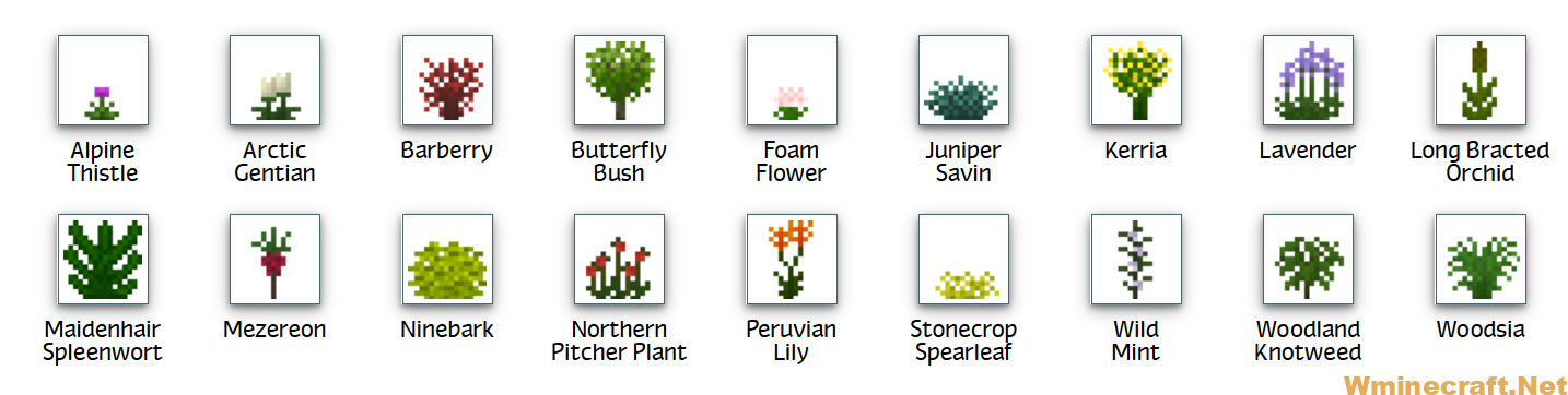  These plants generate in colder forest biomes and sometimes in or near mountain areas