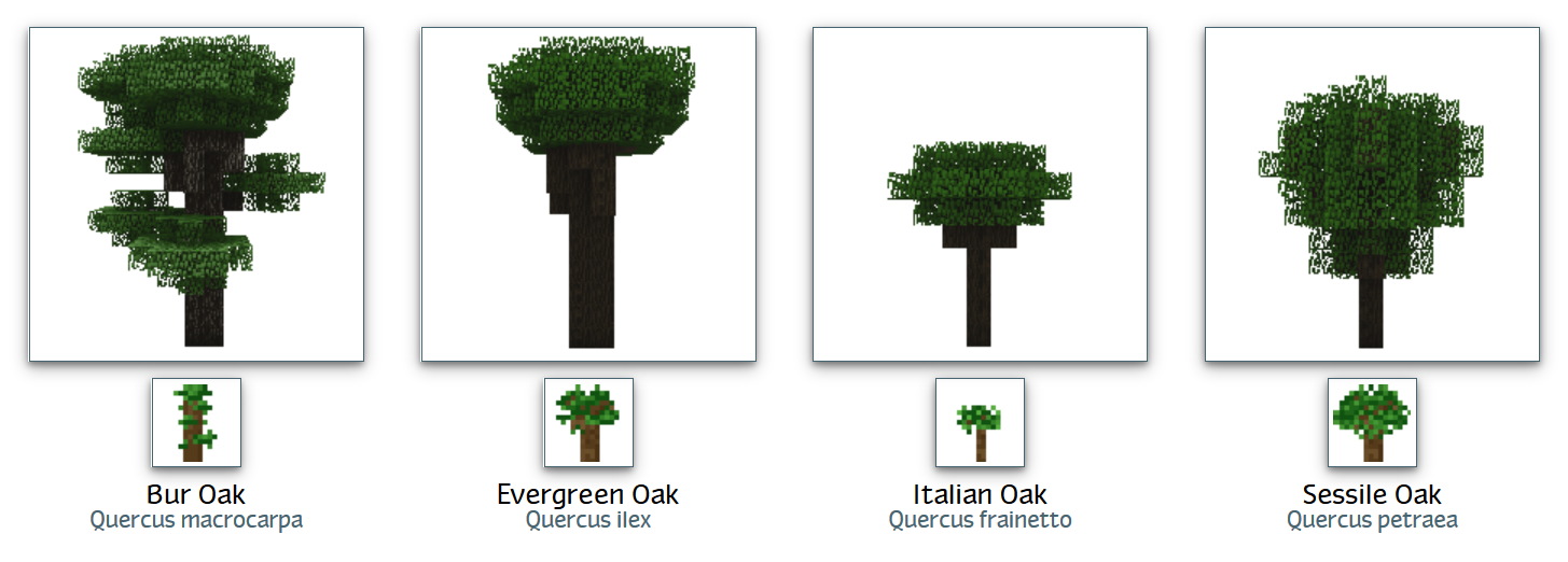Dark Oak Trees