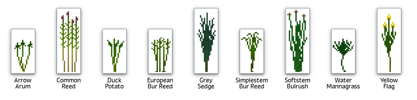 Immersed plants generate naturally in the shallow rivers of warmer biomes.