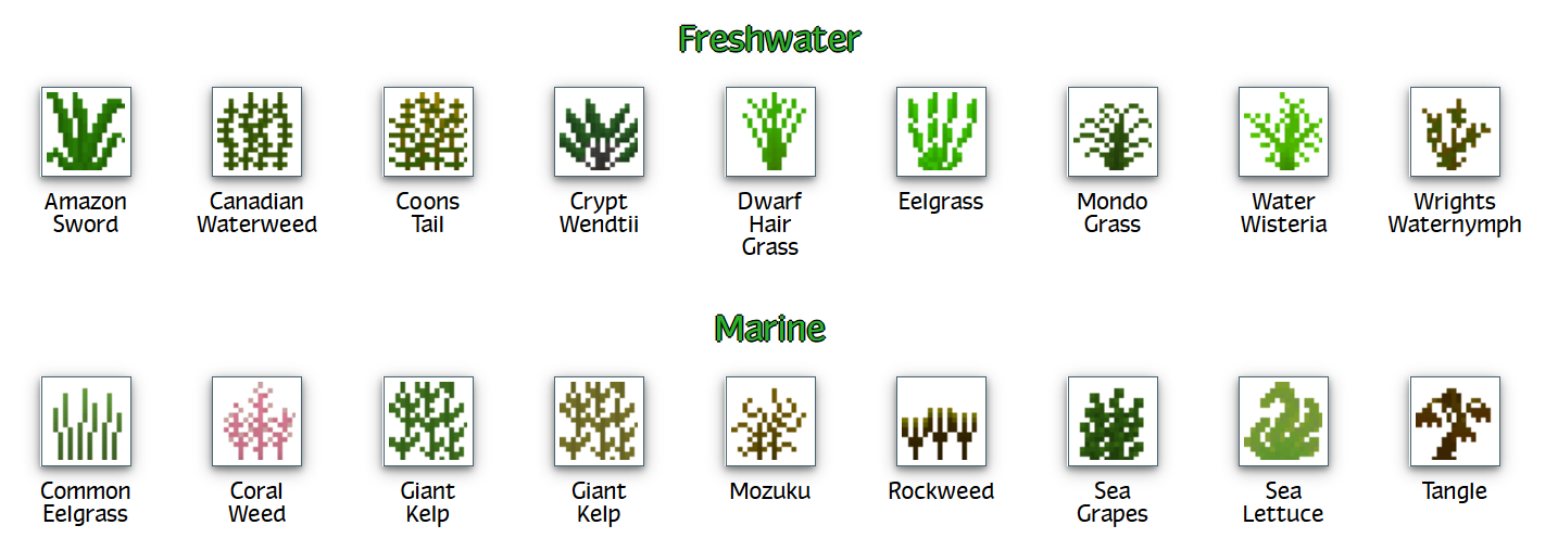 Submerged plants can be found at the bottom of rivers, lakes and oceans.