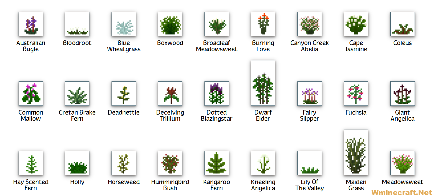 Warm Forest Plants:These plants generate in warmer forest biomes