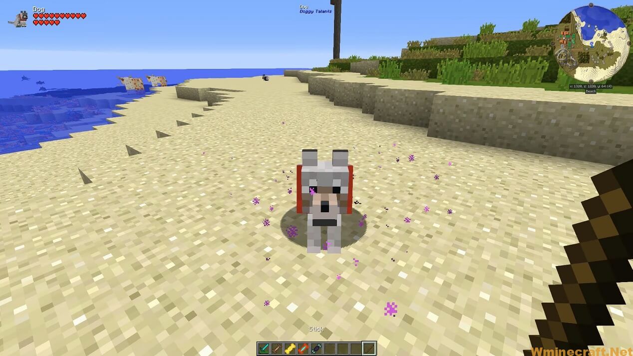 Minecraft Dogs And Wolves Mod Doggy Talents Mod 1.18.1, 1.17.1 Adds New Abilities for Wolves/Dogs in ...