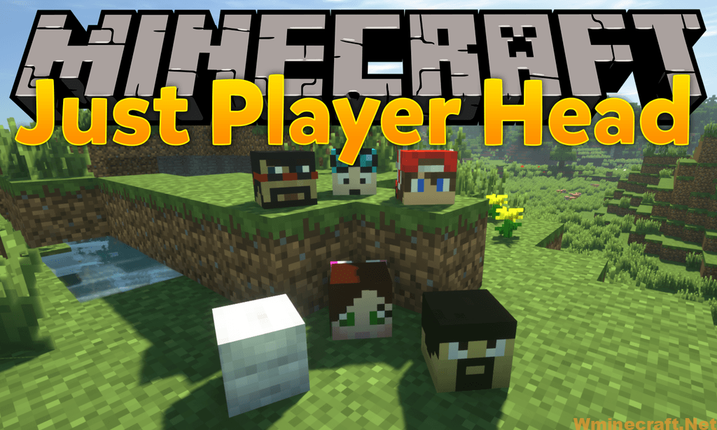Download Just Player Head Mod For Minecraft 1 16 4 1 15 2