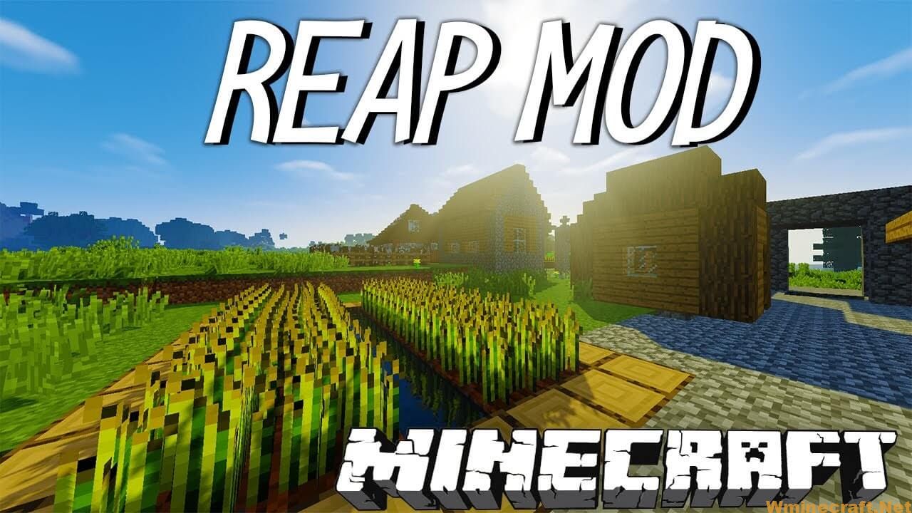 Download Reap Mod For Minecraft 1 16 5 1 15 2 1 14 4 Wminecraft Net