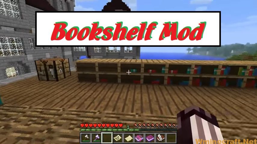 Bookshelf Mod