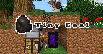 tiny coal 1