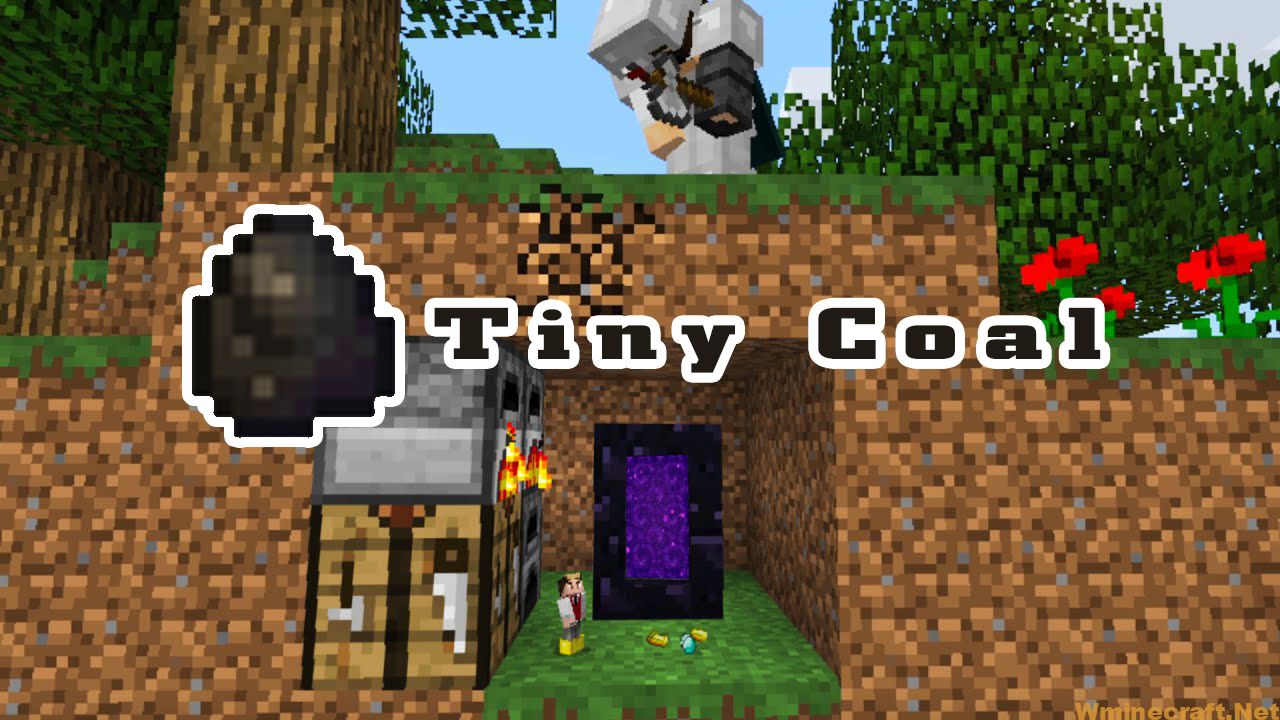 Tiny Coal Mod