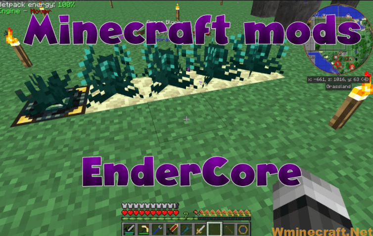 EnderCore Mod