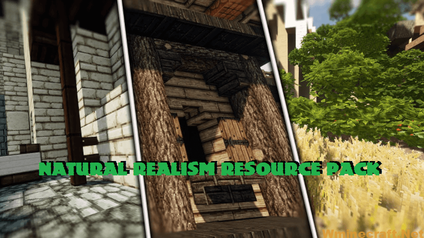 most realistic minecraft resource pack