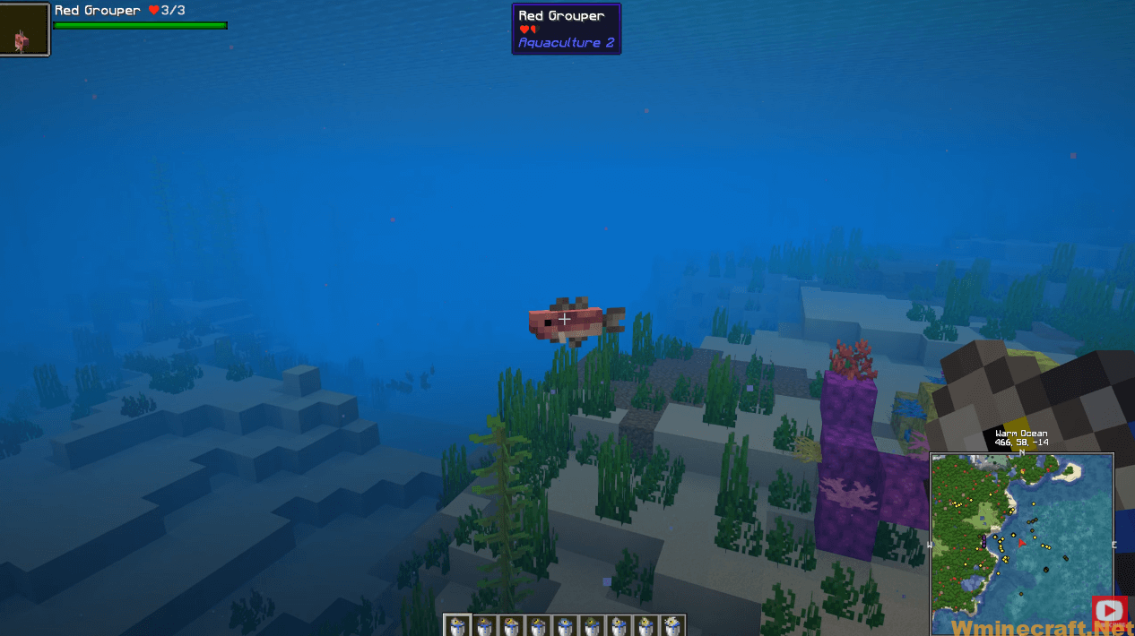 Aquaculture 2 Mod 1.18.1, 1.17.1: The Ultimate Minecraft Fishing Mod ...