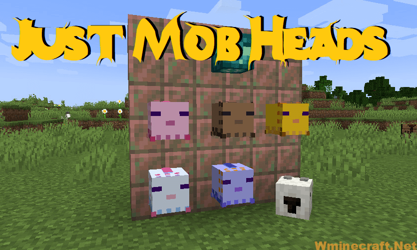 Just Mob Heads Mod 1 18 1 1 17 1 Mod That Helps You Collect Creatures Heads Wminecraft Net