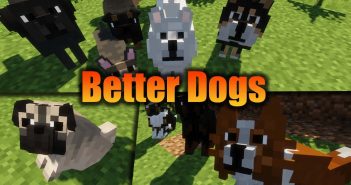 Better Dogs Mod 1