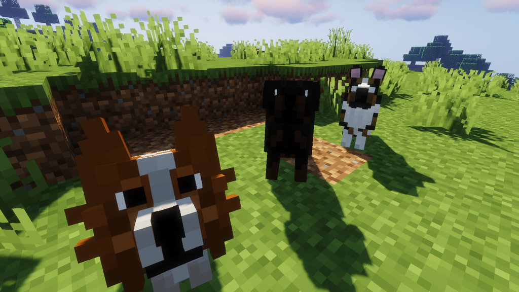 Better Dog Resource Pack