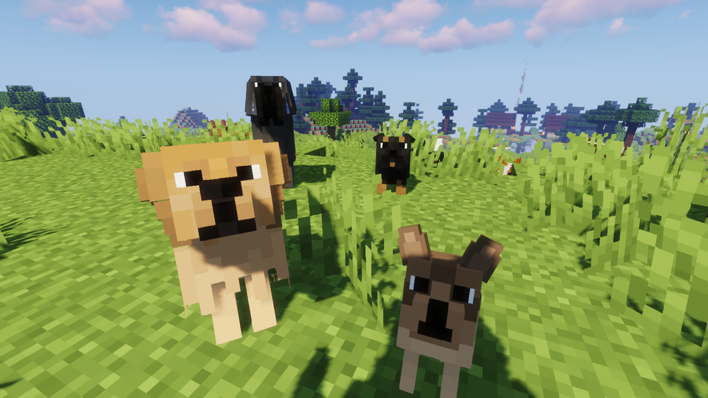 Better Dog Resource Pack