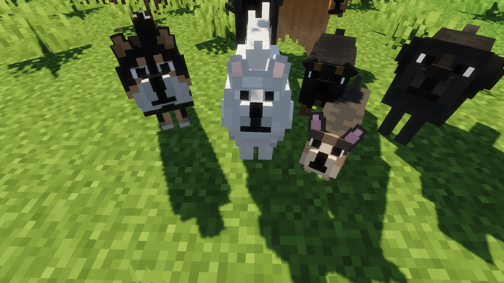 Better Dog Resource Pack