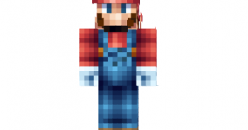 Mario bros skin