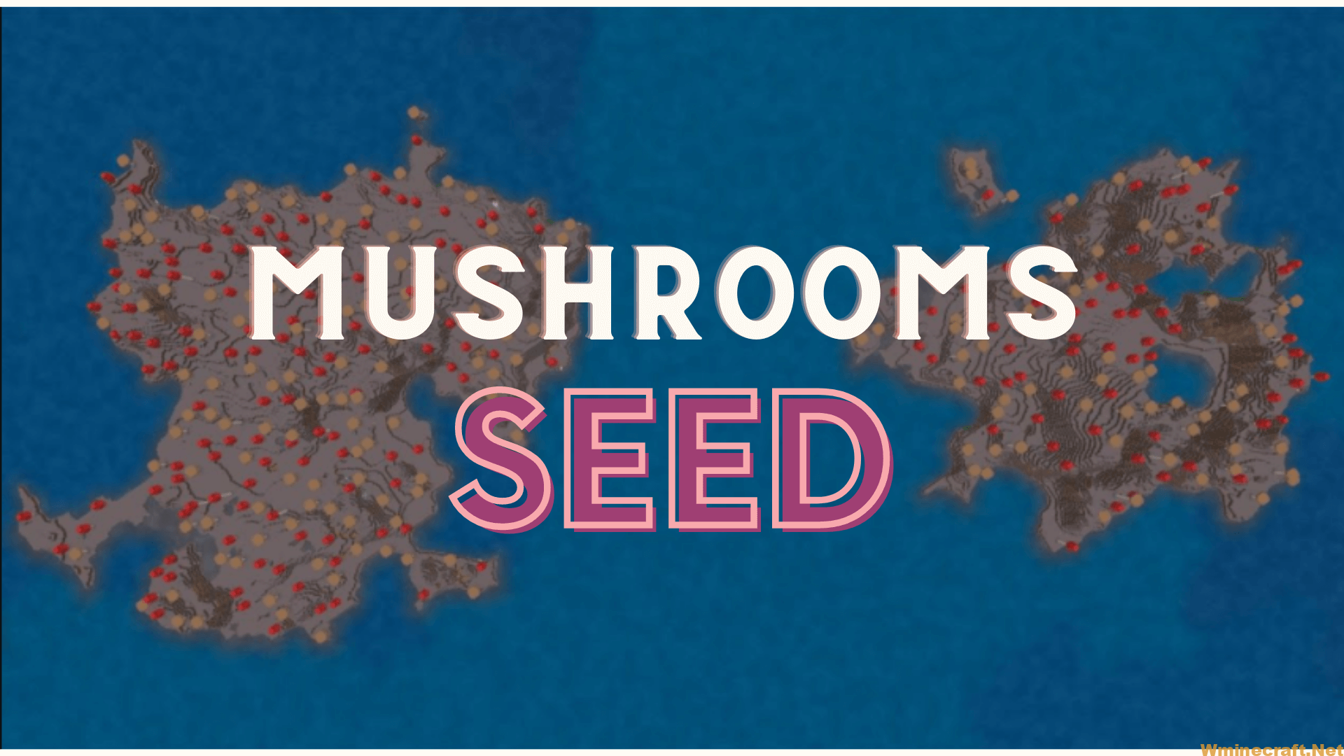Mushrooms - Seed