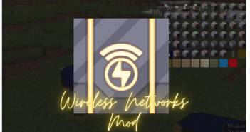 Wireless Networks Mod