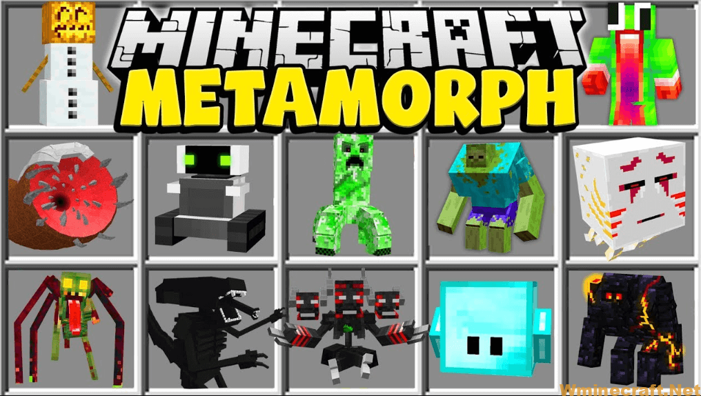 Metamorph Mod 1.12.2, 1.11.2 – morph into every mob in Minecraft ...