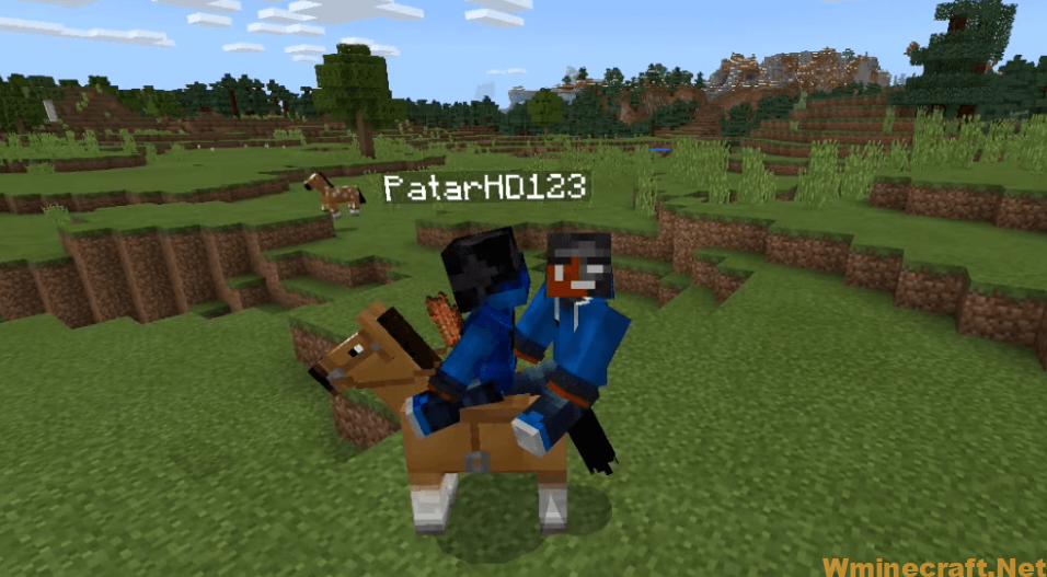 Two Players One Horse