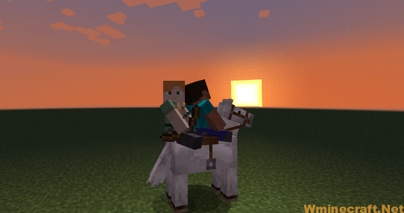 Two Players One Horse