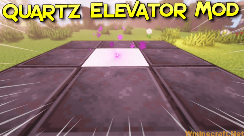 Quartz Elevator