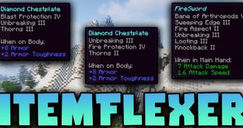 ItemFlexer Mod 1