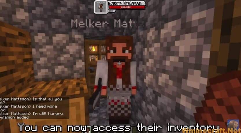 Get Ready for Your Next Minecraft Adventure With Human Companions Mod ...
