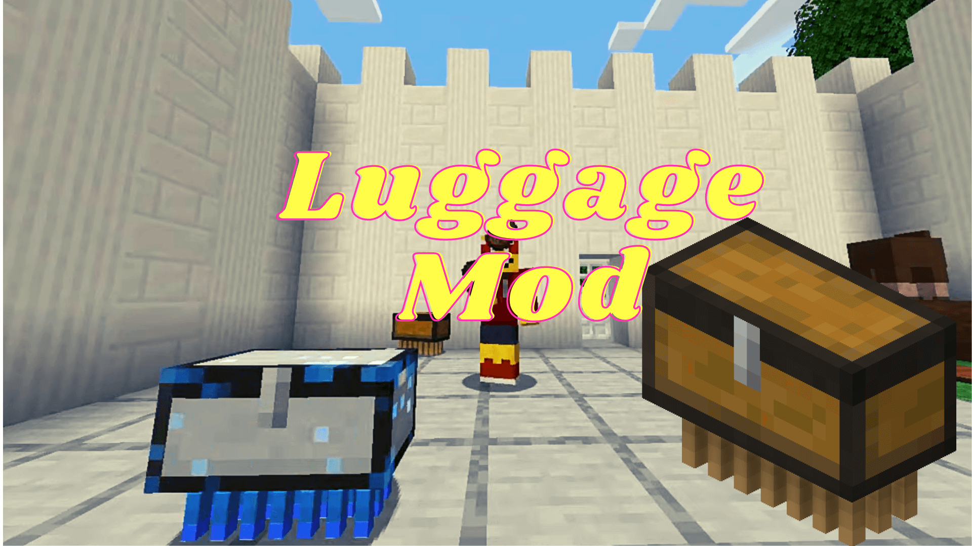 Luggage Mod