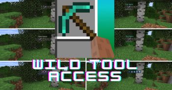 Wild Tool Access Mod